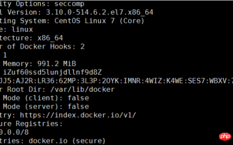 Linux操作系统如何在ECS上搭建Docker