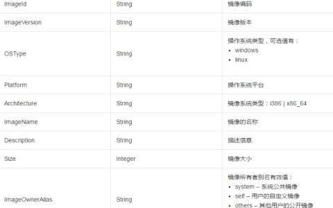 如何使用ImageType定义镜像信息的类型