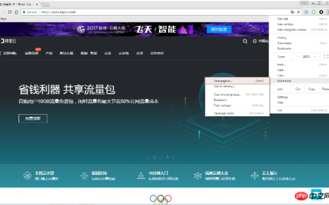 如何快速简单的查看网站首页大小
