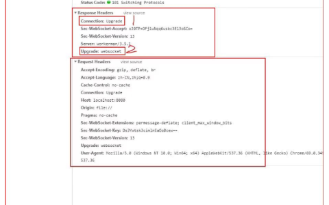 nginx反向代理webSocket配置