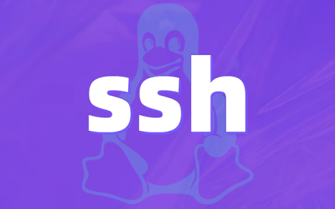 Linux 怎么防止 ssh 被暴力破解