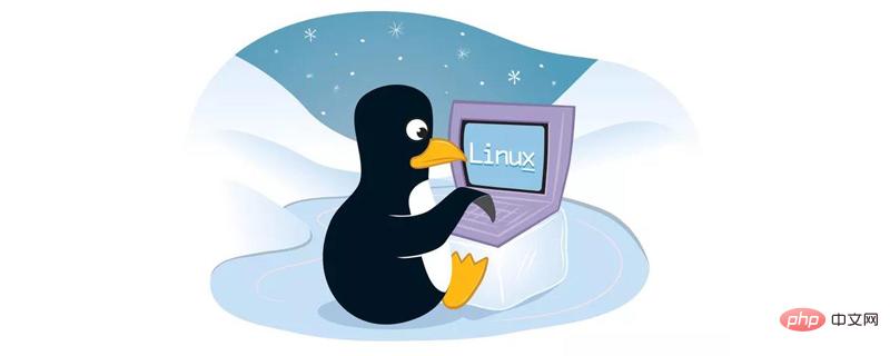 关于Linux中的文件夹存放位置的介绍