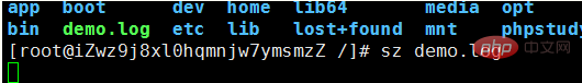 linux实现下载文件到本地