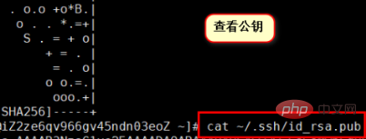 1584611430781647.png 67627ef437bbe0f2df0171a11876232.png