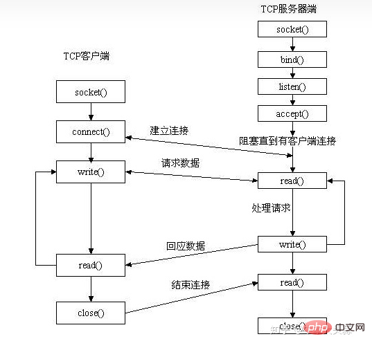 linux socket是什么