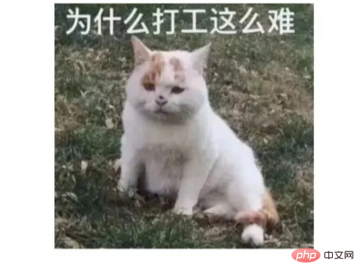 1663124856730779.png 3.png