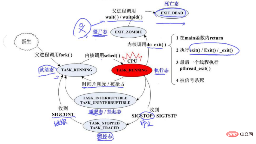 1675165741675146.png 1.png