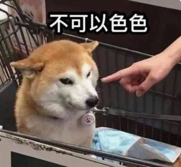 23岁网红用AI分身交1000男友!月入500万美元,谈恋爱按分钟计费