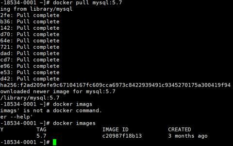 docker怎么安装mysql