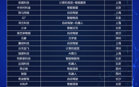 全球十大AI独角兽：中国1家，美国9家，榜首估值超过1900亿元