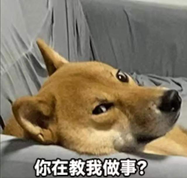 当AI住进智能音箱,我拥有了一位情绪稳定的话痨朋友