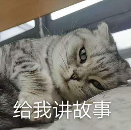 当AI住进智能音箱,我拥有了一位情绪稳定的话痨朋友