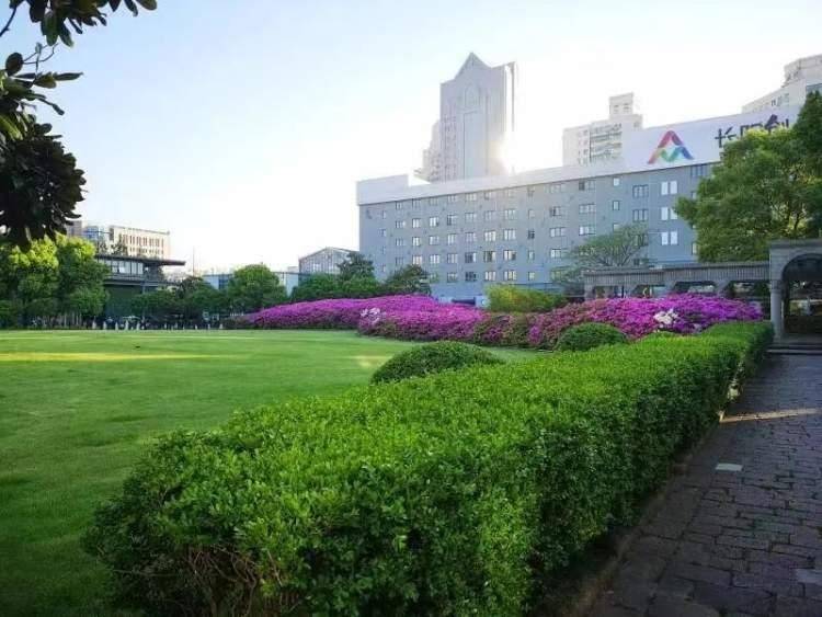 引爆“人工智能”,汇聚双创动能丨科技园区巡礼④