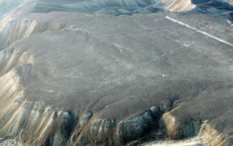 ​日媒：AI高效解析纳斯卡地画