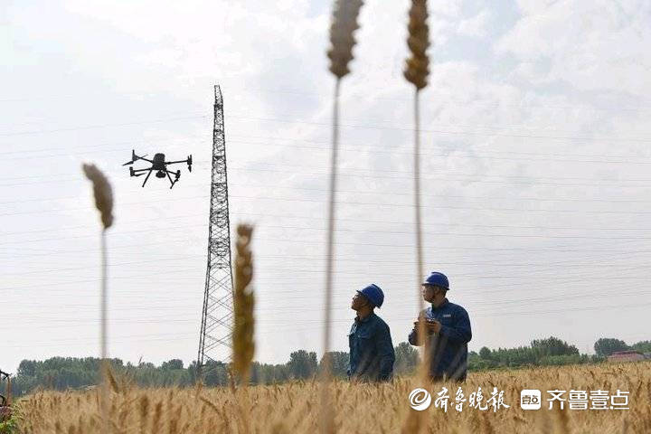 “三夏”农忙保障用电,无人机高空巡视高压线