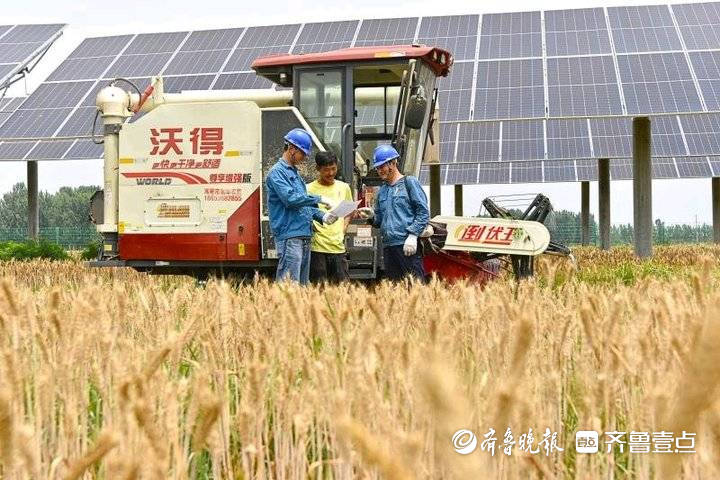 “三夏”农忙保障用电,无人机高空巡视高压线