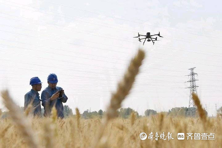 “三夏”农忙保障用电,无人机高空巡视高压线