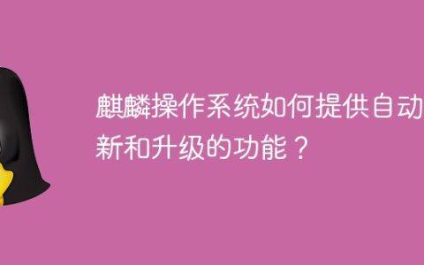 麒麟操作系统如何提供自动更新和升级的功能？