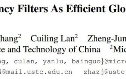轻量级视觉网络新主干：高效的傅里叶算子Token混合器