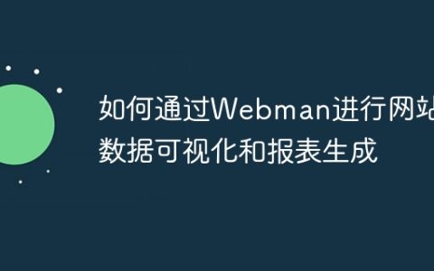 如何通过Webman进行网站的数据可视化和报表生成