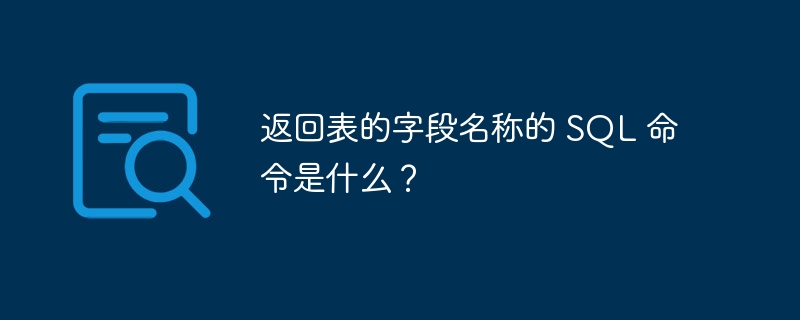 返回表的字段名称的 SQL 命令是什么?