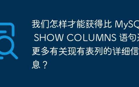 我们怎样才能获得比 MySQL SHOW COLUMNS 语句返回的更多有关现有表列的详细信息？