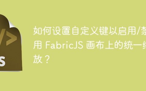 如何设置自定义键以启用/禁用 FabricJS 画布上的统一缩放？