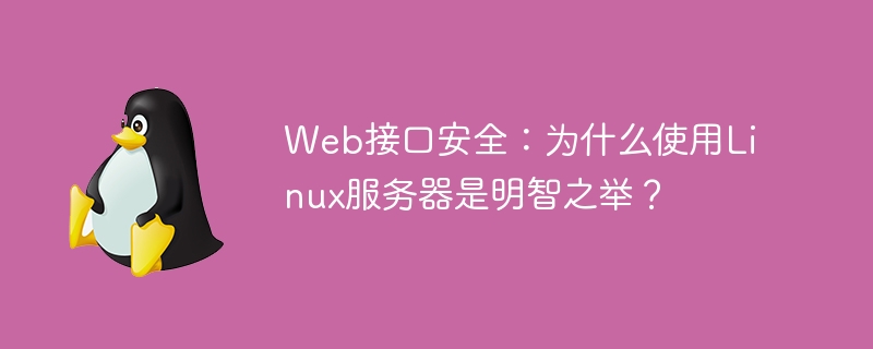 Web接口安全:为什么使用Linux服务器是明智之举?
