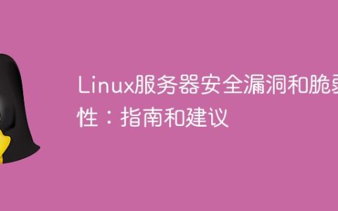 Linux服务器安全漏洞和脆弱性：指南和建议