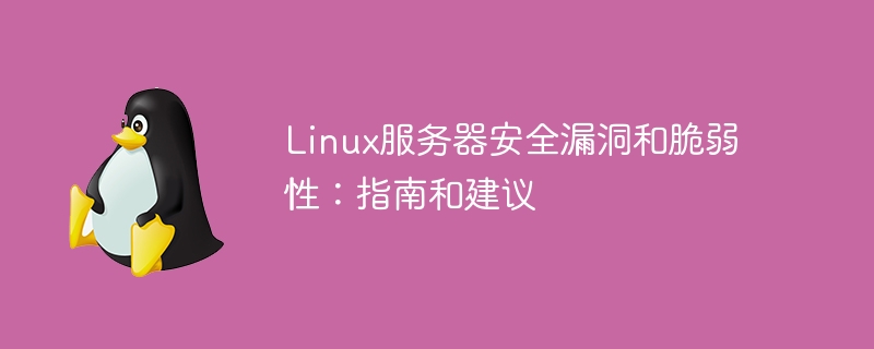 Linux服务器安全漏洞和脆弱性:指南和建议