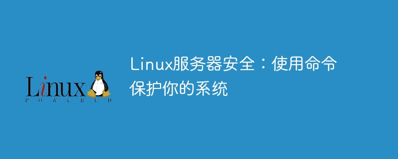 Linux服务器安全:使用命令保护你的系统