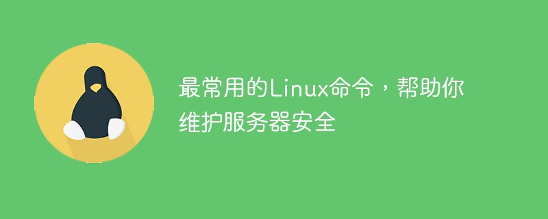 最常用的Linux命令,帮助你维护服务器安全