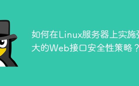 如何在Linux服务器上实施强大的Web接口安全性策略？