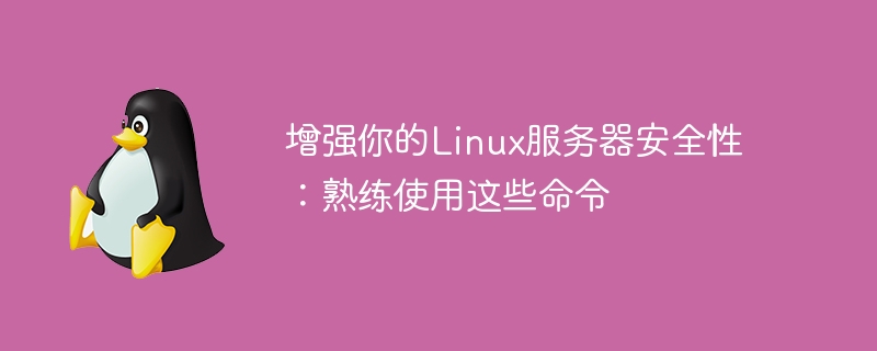 增强你的linux服务器安全性：熟练使用这些命令