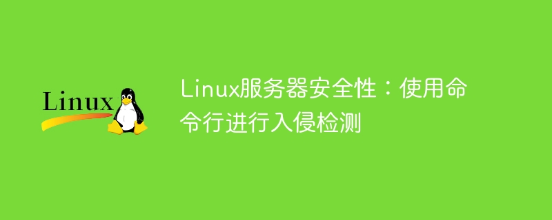 Linux服务器安全性:使用命令行进行入侵检测