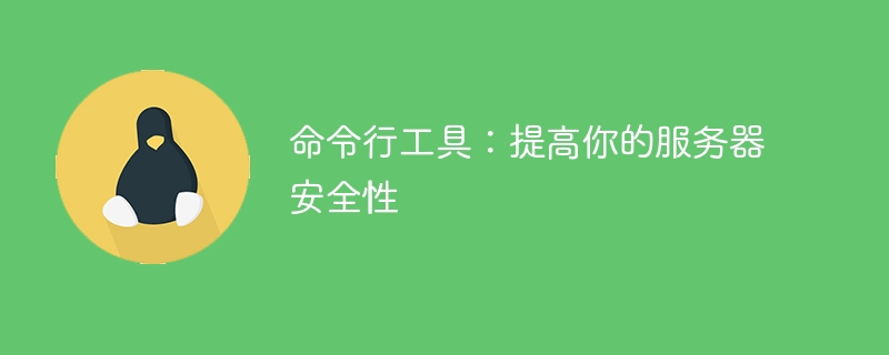 命令行工具:提高你的服务器安全性