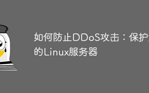 如何防止DDoS攻击：保护您的Linux服务器
