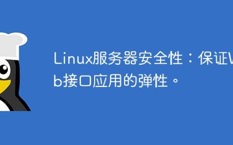 Linux服务器安全性：保证Web接口应用的弹性。