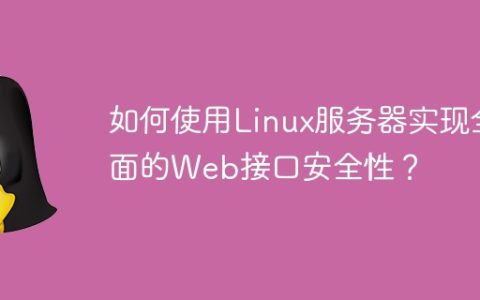 如何使用Linux服务器实现全面的Web接口安全性？