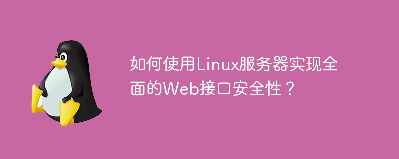 如何使用linux服务器实现全面的web接口安全性?