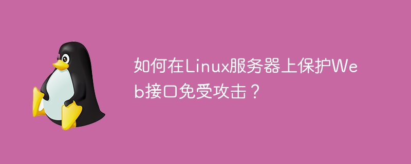 如何在Linux服务器上保护Web接口免受攻击?