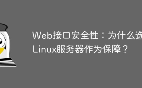 Web接口安全性：为什么选择Linux服务器作为保障？