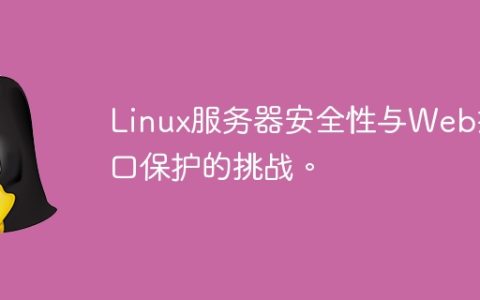 Linux服务器安全性与Web接口保护的挑战。