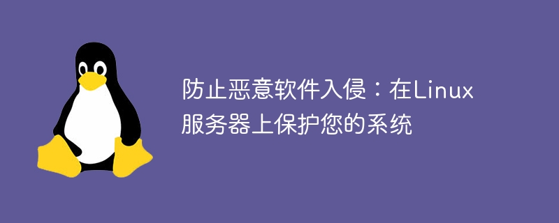 防止恶意软件入侵:在Linux服务器上保护您的系统