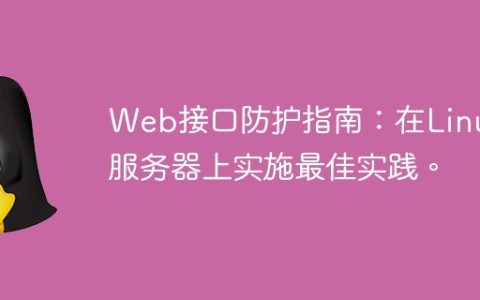 Web接口防护指南：在Linux服务器上实施最佳实践。
