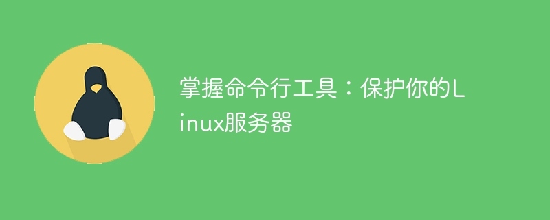 掌握命令行工具:保护你的Linux服务器