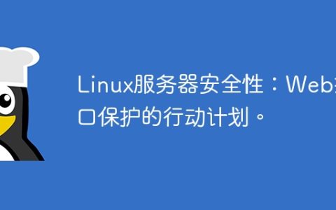 Linux服务器安全性：Web接口保护的行动计划。