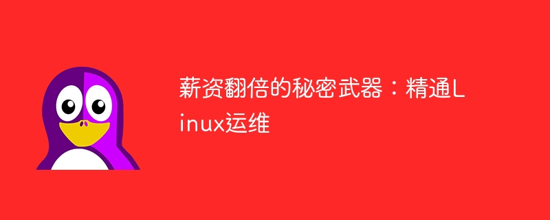 薪资翻倍的秘密武器:精通Linux运维