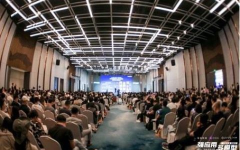 多模型应用的力量：行行AI成功组织AI大会，推动AI应用的实施和创新