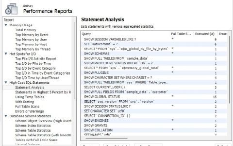 Mysql Workbench 中的性能报告控件